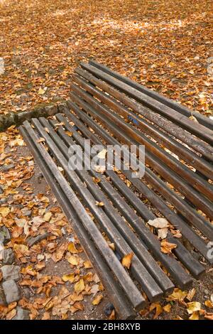 Parkbank mit Herbstlaub Foto Stock