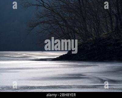 Europa, Deutschland, Hessen, Vöhl, Nationalpark Kellerwald-Edersee, Winterlicht an der Wooghölle, Buchenwald, glitzerndes EIS Foto Stock