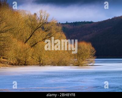 Europa, Deutschland, Hessen, Vöhl, Nationalpark Kellerwald-Edersee, Winterstimmung, Weidenbäume am Ufer der Wooghölle Foto Stock