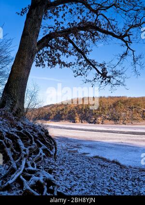 Europa, Deutschland, Hessen, Vöhl, Nationalpark Kellerwald-Edersee, Eiche an der Hohen Fahrt, trockengefallener Edersee, Winterstimmung mit EIS und SC Foto Stock