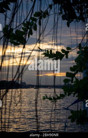 Vista dalla terrazza del Loy la Long Hotel sulla Chao Phraya in serata Foto Stock