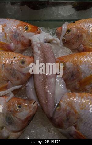 pesce congelato sul ghiaccio nel display Foto Stock