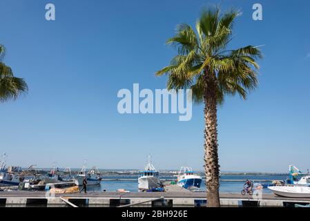 Italia, mezzogiorno, Puglia, Penisola del Salento, Taranto/Taranto, città dei due mari, centro storico, barche da pesca nel porto, Via Garibaldi Foto Stock