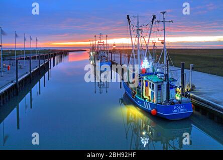 Kutterhafen sul Mare di Wadden con taglierine di gamberi, Wremen, località del Mare del Nord, Land Wursten, estuario del Weser, costa del Mare del Nord, bassa Sassonia, Germania del Nord, Germania Foto Stock