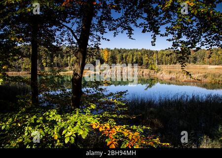 Europa, Polonia, Voivodato di Lubusz, Parco paesaggistico di Muscau Bend / Muskauer Faltenbogen / Muskauer Faltenbogen / Åuk MuÅ¼akowa UNESCO Global Geopark Foto Stock