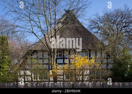 Casa a graticcio, ex casa colonica in primavera, Oberneuland, Brema, Deutschland, Europa Foto Stock