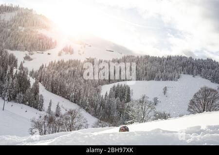 Paesaggio invernale innevato a Söll, Wilder Kaiser, Tirolo, Austria Foto Stock