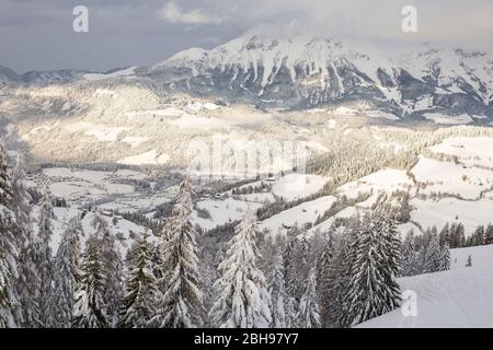 Paesaggio invernale innevato a Söll, Wilder Kaiser, Tirolo, Austria Foto Stock