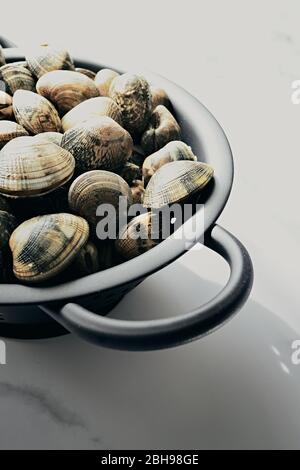 Vongole crude in un filtro nero. Foto Stock