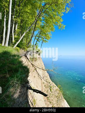 Deutschland, Meclenburgo-Pomerania Occidentale, Insel Rügen, Nationalpark Jasmund, Buchenwald an der Abbruchkante der Steilküste, Aussicht auf die Ostsee Foto Stock