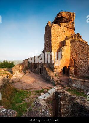 Castello di Hohenburg alla luce del mattino, francese Château du Hohenbourg, castello di roccia, Wasgau, Alsazia, Francia Foto Stock