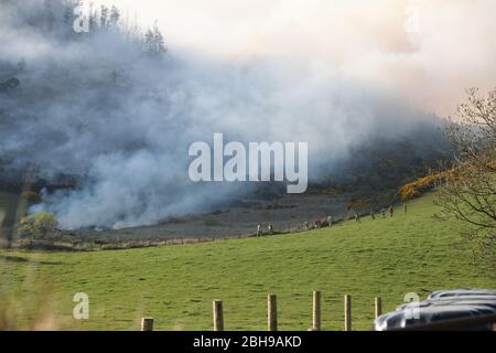 Un fuoco attraverso una grande area di gola a Newry, dove i vigili del fuoco stanno affrontando le fiamme che bruciano da diversi giorni, come il Servizio di soccorso e antincendio dell'Irlanda del Nord ha detto che il fuoco selvaggio in questa fase sembra essere stato deliberatamente iniziato. Foto Stock