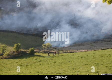 Un fuoco attraverso una grande area di gola a Newry, dove i vigili del fuoco stanno affrontando le fiamme che bruciano da diversi giorni, come il Servizio di soccorso e antincendio dell'Irlanda del Nord ha detto che il fuoco selvaggio in questa fase sembra essere stato deliberatamente iniziato. Foto Stock