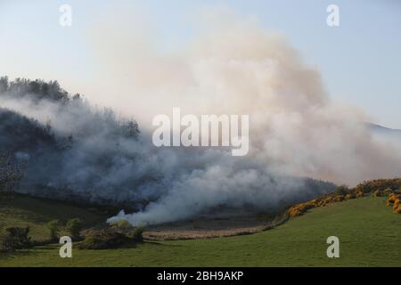 Un fuoco attraverso una grande area di gola a Newry, dove i vigili del fuoco stanno affrontando le fiamme che bruciano da diversi giorni, come il Servizio di soccorso e antincendio dell'Irlanda del Nord ha detto che il fuoco selvaggio in questa fase sembra essere stato deliberatamente iniziato. Foto Stock