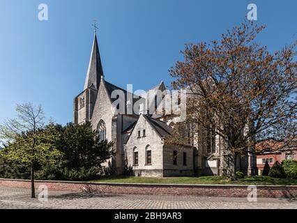 Vista laterale della chiesa parrocchiale gotica nel centro della città di Heist-op-den-Berg, Belgio Foto Stock