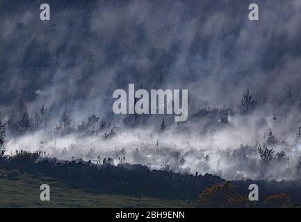 Un fuoco attraverso una grande area di gola a Newry, dove i vigili del fuoco stanno affrontando le fiamme che bruciano da diversi giorni, come il Servizio di soccorso e antincendio dell'Irlanda del Nord ha detto che il fuoco selvaggio in questa fase sembra essere stato deliberatamente iniziato. Foto Stock