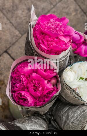 La Georgia, Tbilisi, città vecchia, il mercato dei fiori Foto Stock