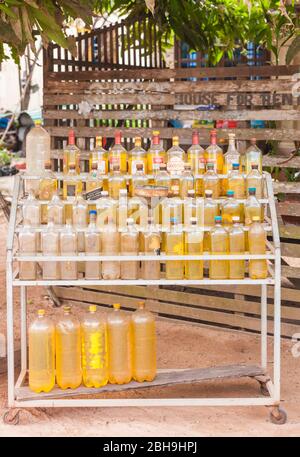 Cambogia, Siem Reap, benzina in vendita in vecchie bottiglie di whisky Foto Stock