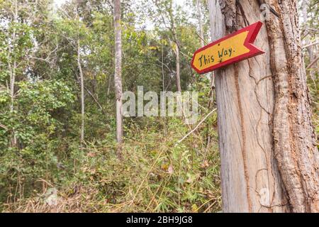 Laos, Sainyabuli, Elephant Conservation Centre, segni, in questo modo Foto Stock