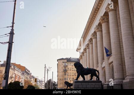 Statue di leoni di fronte all'edificio del tribunale di Sofia, cielo blu sullo sfondo. Palazzo di corte classica della città vecchia in stile architettonico sovietico Foto Stock