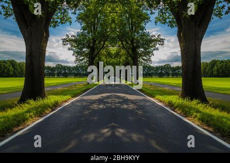 Country Road in estate Foto Stock