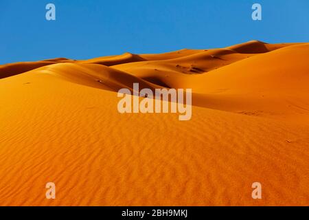 ERG Chebbi, dune di sabbia, Marocco meridionale, Marocco, al-Magreb, Africa Foto Stock