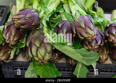 Italia, l'isola mediterranea della Sardegna, Cagliari, mercato di San Benedetto, carciofi, Carciofo spinoso di Sardegna Foto Stock