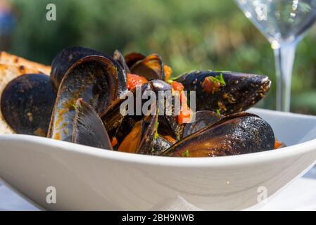 Italia, isola mediterranea della Sardegna, spiaggia di Porto Taverna / Spiaggia Porto Taverna, Zuppa di Cozze, zuppa di mitili nel Ristorante la Tavernetta Foto Stock