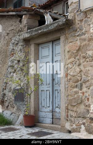 Italia, isola mediterranea Sardegna, Gavoi, vista dal paese, gatto sul tetto della casa Foto Stock