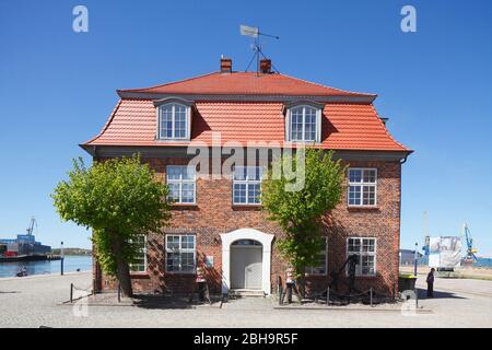 Casa storica sull'albero, Wismar, Mecklenburg-Vorpommern, Germania, Europa Foto Stock