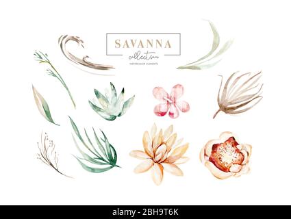 Set elementi acquerello di rose collezione giardino rosso, fiori di borgogna, foglie, rami, illustrazione botanica isolato su sfondo bianco. Gemma di Foto Stock