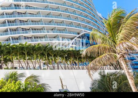 Hotel Hilton con palme, complesso alberghiero, Fort Lauderdale Beach Boulevard, Fort Lauderdale, Broward County, Florida, Stati Uniti, Nord America Foto Stock