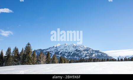 Una foresta innevata a Tennsee vicino a Krün in inverno con vista sul Karwendel e le cime delle Alpi vicino a Landkreis Garmisch-Partenkirchen, Baviera, Germania. Foto Stock