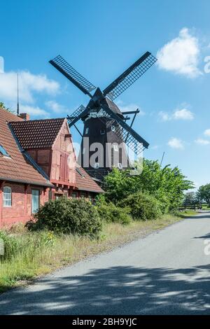 Lemkenhafen, Fehmarn, Schleswig-Holstein, Germania del Nord, mulino a vento sull'isola di Fehmarn Foto Stock