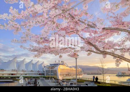 La British Columbia, Canada Foto Stock