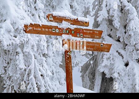 Indicazioni per sentieri innevati su Brocken, Wernigerode, Harz Nature Park, Sassonia-Anhalt, Germania Foto Stock