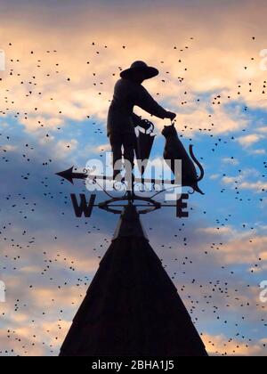 Uomo con gatto come una pala meteo sul tetto a Truskawiec, Ucraina Foto Stock