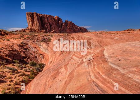 USA, Nevada, Clark County, Overton, Valley of Fire state Park, Fire Wave mit Gibilterra Rock Foto Stock