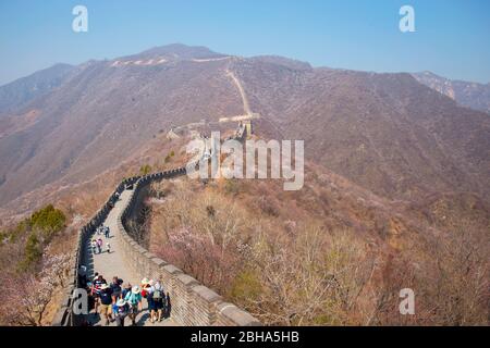 La Grande Muraglia di Mutianyu, Pechino, Cina Foto Stock