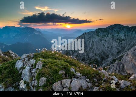 Fiori bianchi di ellebore durante il tramonto sul Karwendel, sullo sfondo i Monti Wetterstein con Lautersee e Ferchensee Foto Stock