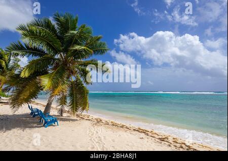 Sedie da spiaggia sulla spiaggia con palme, Grand Cayman Island Foto Stock