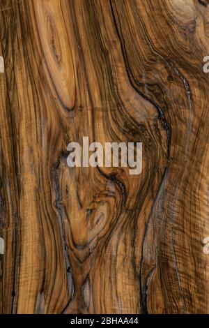 Particolare di legno di noce nero grano Foto Stock