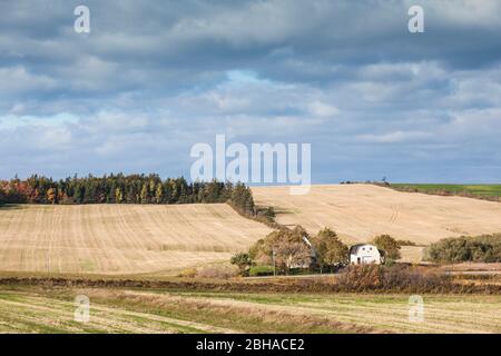 Canada, Prince Edward Island, fiume francese, agriturismo, autunno Foto Stock