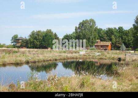 Acque nella riserva naturale Goldenstedter Moor, Goldenstedt, distretto di Vechta, bassa Sassonia, Germania, Europa Foto Stock