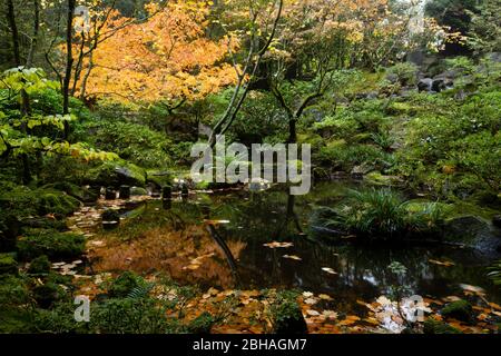 Riflessioni in stagno in giardino giapponese in autunno, Portland, Oregon, Stati Uniti Foto Stock