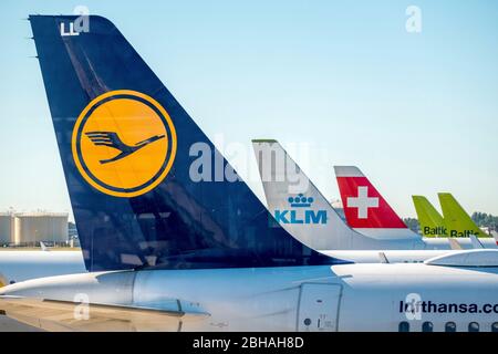 Stabilizzatori verticali delle compagnie aeree Lufthansa, KLM, Swiss Air e Baltic Air all'aeroporto Schiphol di Amsterdam, Noord-Holland, Paesi Bassi, Europa Foto Stock