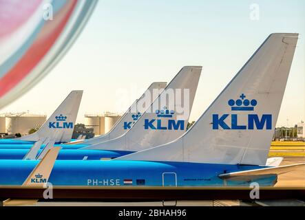 Stabilizzatori verticali della compagnia aerea KLM all'aeroporto Schiphol di Amsterdam, Noord-Holland, Paesi Bassi, Europa Foto Stock