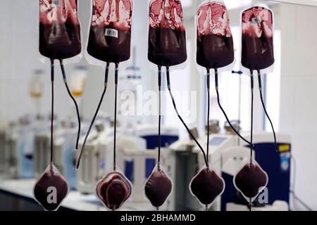 Sacca di sangue nella stazione di trasfusione di un ospedale Foto Stock