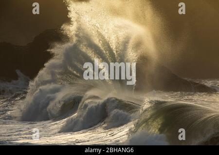 Onde che si schiantano sulla costa, Cape Disappointment state Park, Washington, USA Foto Stock