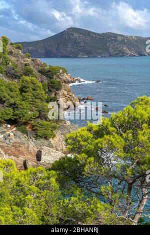 Europa, Spagna, Catalogna, Costa Brava, vista lungo la costa sulla strada da Cap Norfeu a Roses Foto Stock